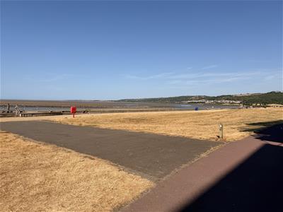 Picture 11